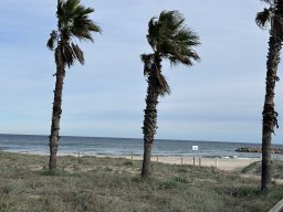 101-22-12-2025 IMG_3260